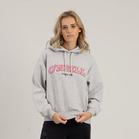 Person wearing a gray hoodie with pink text on a plain background