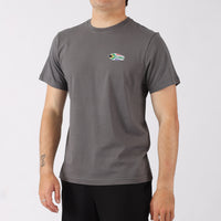Person wearing a gray t-shirt with a small logo on a white background