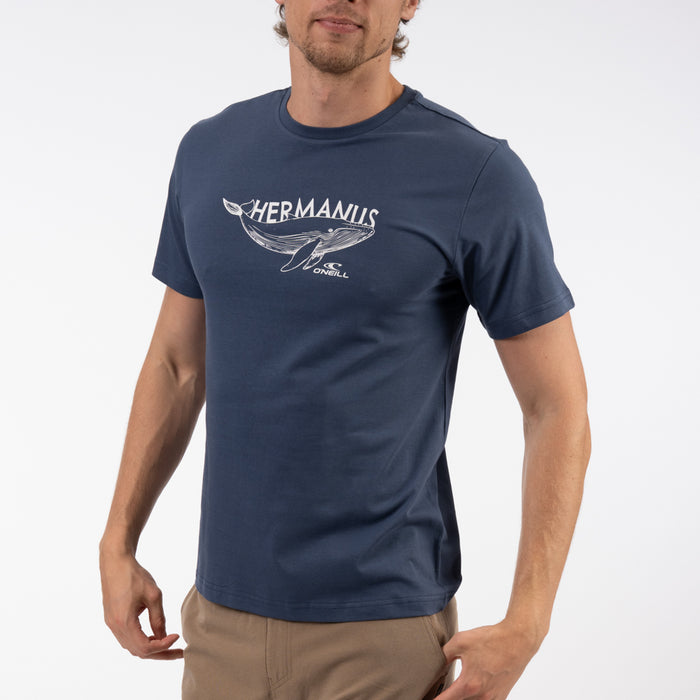 Hermanus Tee