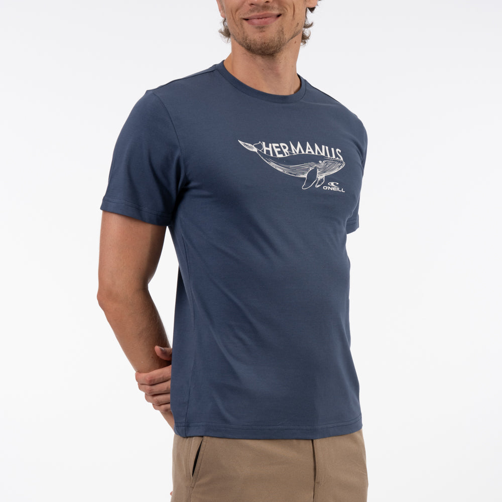 Hermanus Tee